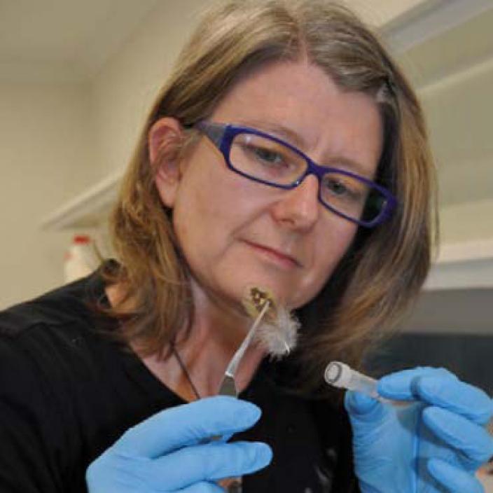 Scientist examining a feather